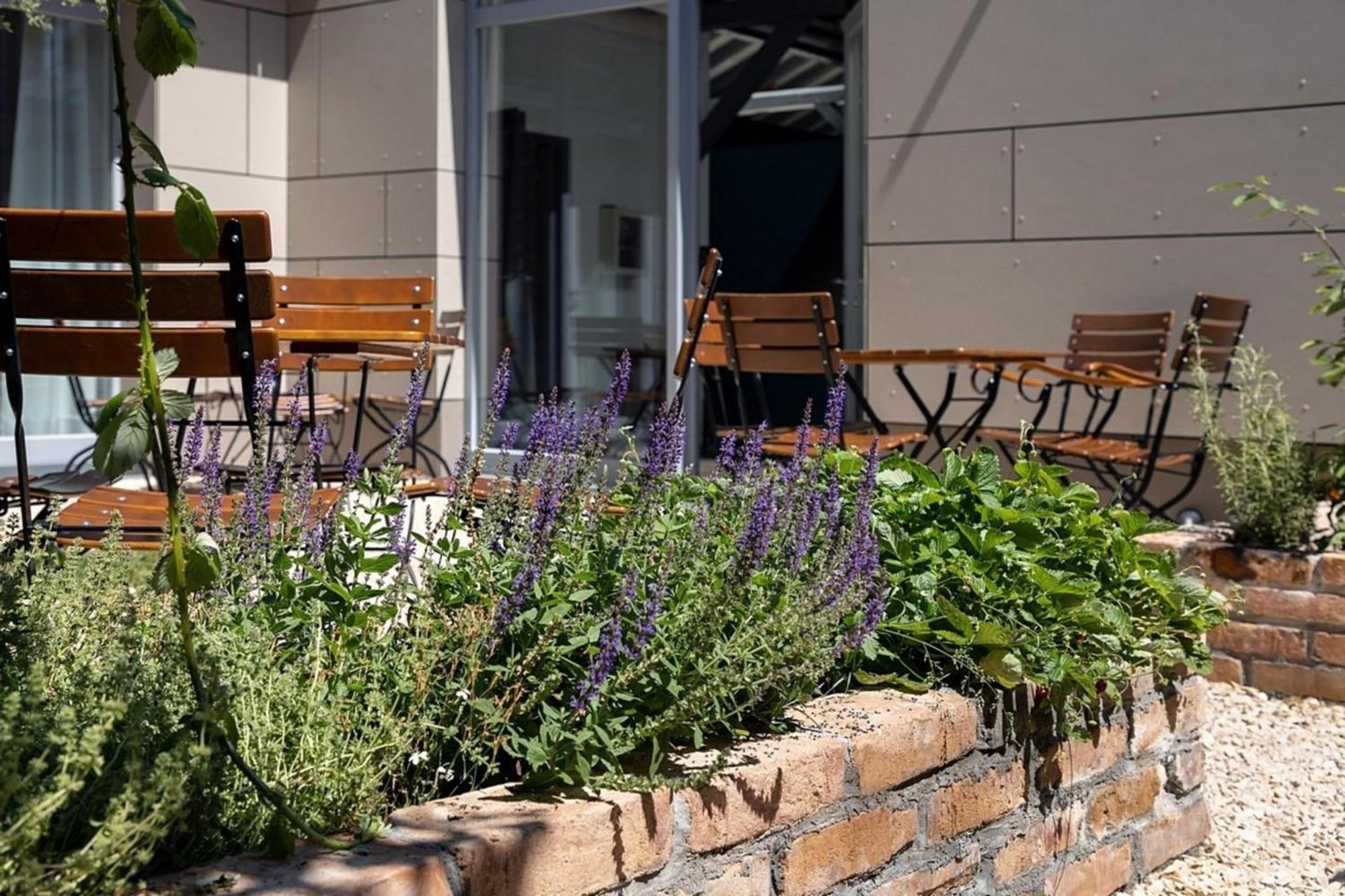 Xl-Apartment 1889 Walsheim Dış mekan fotoğraf